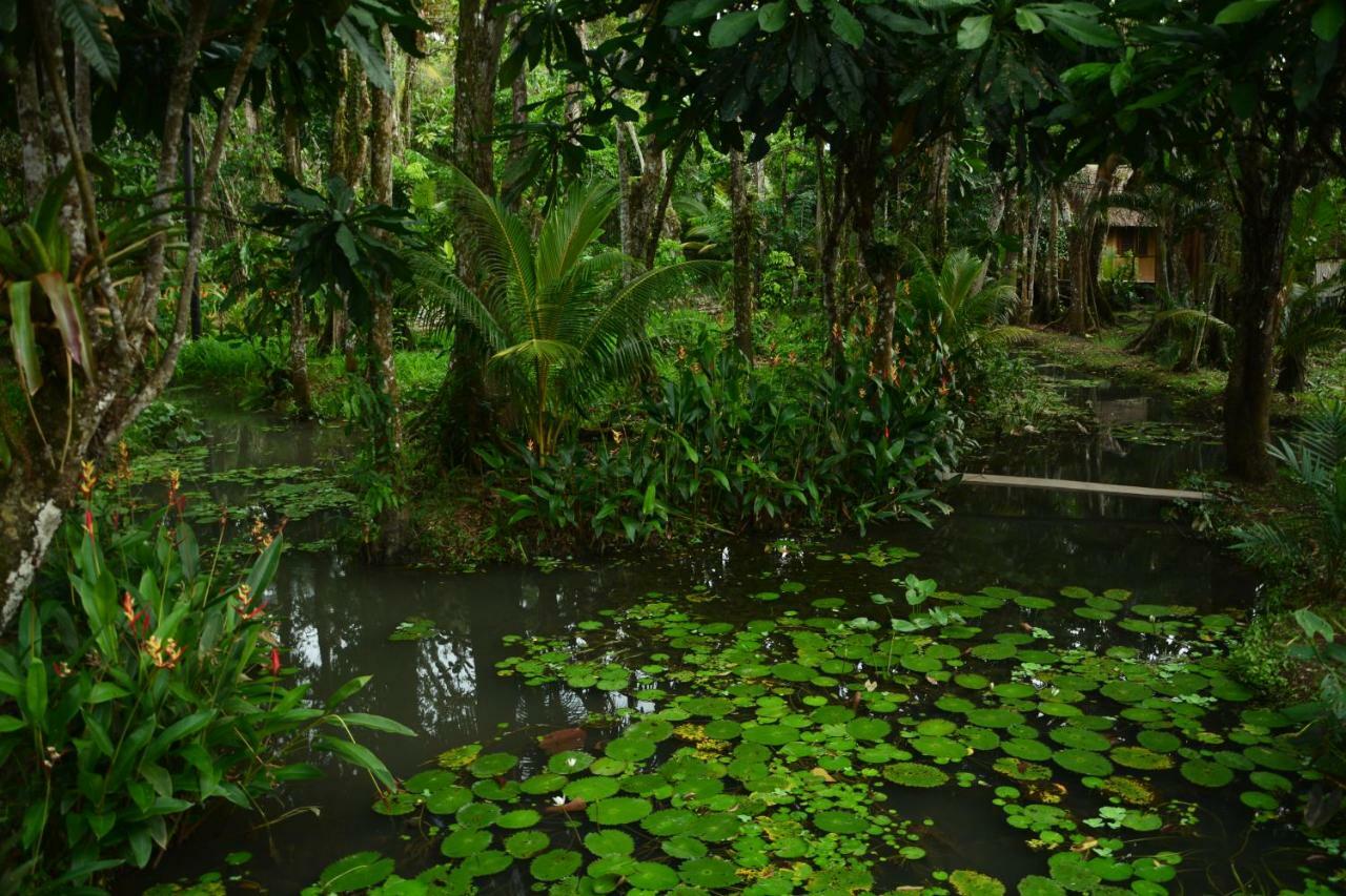 Hotel Kangaroo Y Restaurante Rio Dulce Town Esterno foto