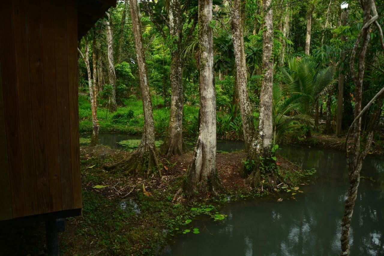 Hotel Kangaroo Y Restaurante Rio Dulce Town Esterno foto